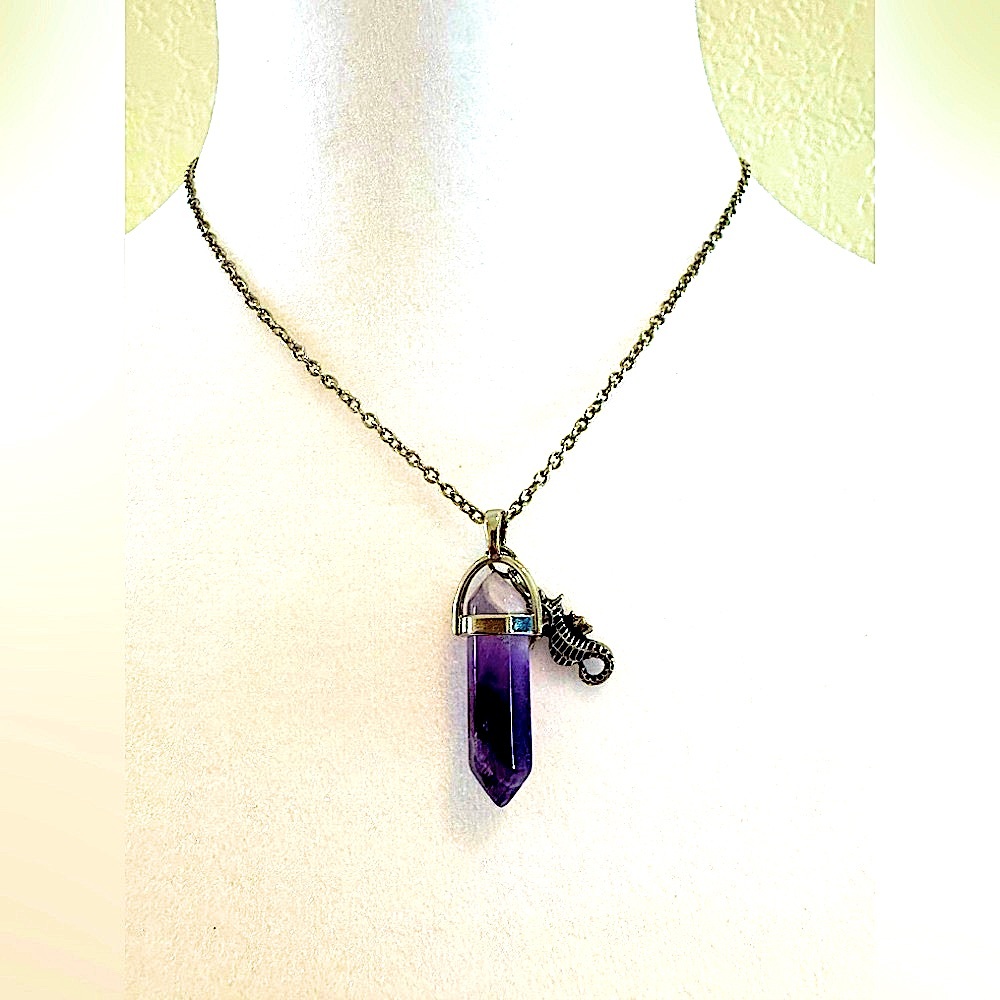 Adult Jewels Amethyst Crystal Pendant Necklace with Seahorse Charm – NWOT
